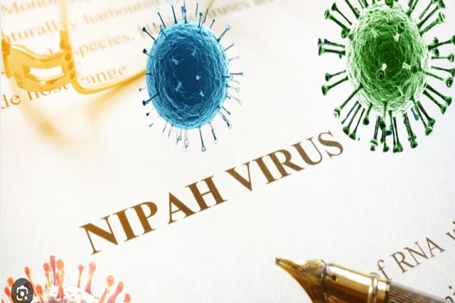Bộ Y tế yêu cầu tăng cường phòng chống dịch bệnh do virus Nipah ngay tại cửa khẩu