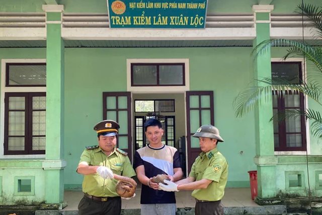 Người dân Huế giao nộp cùng lúc 2 cá thể động vật quý hiếm