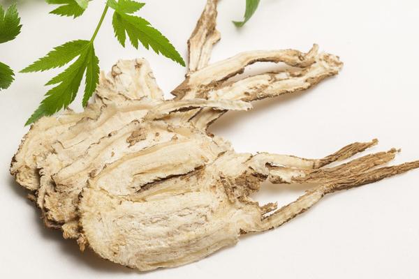 Bài thuốc chữa mụn trứng cá từ cây kim ngân