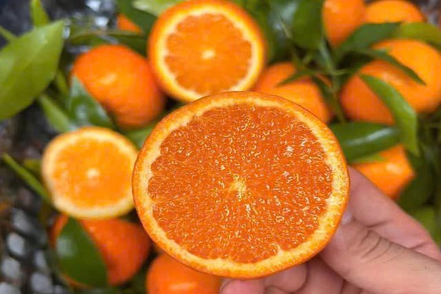 10 thực phẩm tự nhiên tốt cho sức khỏe gan