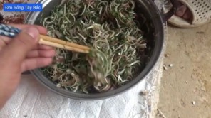Nộm tai lợn nước măng chua (phần 3)