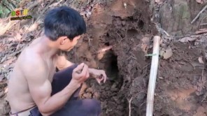 Đào rắn hổ mang trốn trong ụ mối (phần 2)