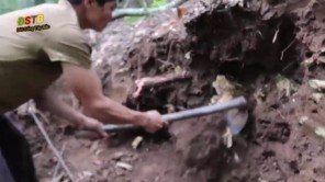 Đào rắn hổ mang trốn trong ụ mối (phần 5)