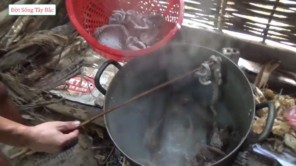 Lên Tây Bắc ăn lợn thả rừng thui nóng (phần 4)