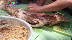 Lên Tây Bắc ăn cá sấu nướng cả con (phần 1)