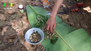 Lên Tây Bắc bắt sâu rừng nướng (phần 4)
