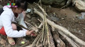 Vào rừng ăn lẩu ếch (phần 1)