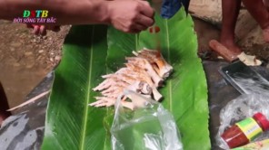 Vào rừng ăn lẩu ếch (phần 2)
