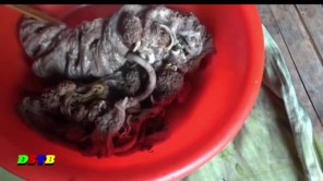 Nhau thai bò, món ăn đại bổ có tiền không mua được (phần 1)