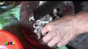 Nhau thai bò, món ăn đại bổ có tiền không mua được (phần 2)