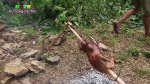 Thịt chó Tây Bắc nướng cả con (phần 1)