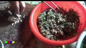 Nhau thai bò, món ăn đại bổ có tiền không mua được (phần 5)