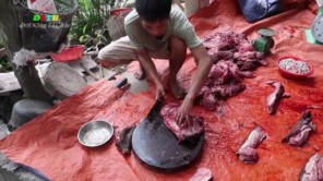 Xẻ thịt bò giữa rừng (phần 5)