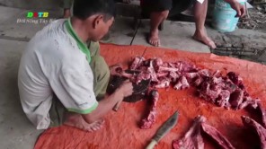 Xẻ thịt bò giữa rừng (phần 6)