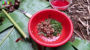 Đánh tiết canh bằng nước khe suối làm bữa nhậu trong rừng (phần 3)