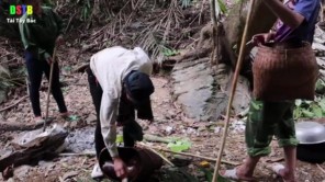 Đánh tiết canh bằng nước khe suối làm bữa nhậu trong rừng (phần 6)