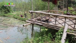 Lẩu cá ngon tuyệt ăn tất niên (phần 1)