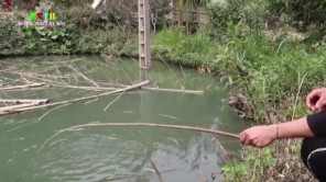 Lẩu cá ngon tuyệt ăn tất niên (phần 2)
