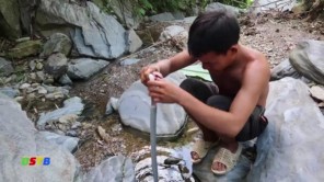 Lên Tây Bắc ăn hổ mang kẹp ống nứa nướng siêu ngon (phần 1)