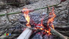 Lên Tây Bắc ăn hổ mang kẹp ống nứa nướng siêu ngon (phần 2)