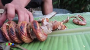 Lên Tây Bắc ăn hổ mang kẹp ống nứa nướng siêu ngon (phần 3)