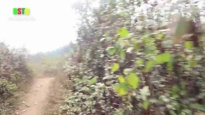 Vào rừng tìm phong lan hiếm (phần 1)