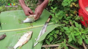 Lẩu cá ngon tuyệt ăn tất niên (phần 3)