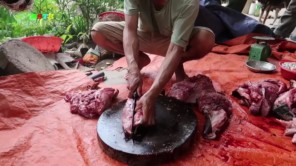 Xẻ thịt bò giữa rừng (phần 4)