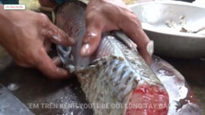 Lên Tây Bắc bắt cá làm gỏi