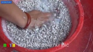 Món ăn độc lạ nhất Tây Bắc