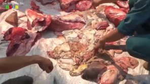 Nếu gặp cảnh này ở Tây Bắc bạn sẽ làm gì? (phần1)