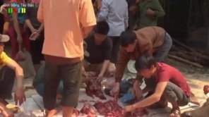 Nếu gặp cảnh này ở Tây Bắc bạn sẽ làm gì? (phần 2)