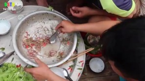 Lên Tây Bắc ăn tép nhảy giật lùi siêu cay kiểu Thái (phần 2)