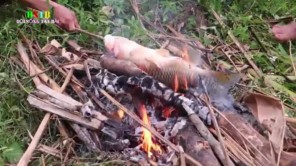 Ăn cá nóng đúng chất Tây Bắc (phần 1)