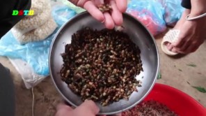 Chợ côn trùng Tây Bắc (phần 1)