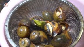 Ốc mít xào chua ngọt tại gia thơm ngon
