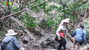 Vào khe bắt cá suối Tây Bắc (phần 4)
