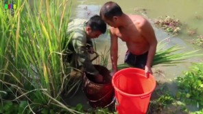 Đi mua cá giống ở Tây Bắc (phần 1)