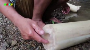 Lên Tây Bắc xem luộc trứng bằng cây chuối rừng (phần 1)