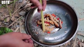 Đi bắt sâu cây nướng ăn trong rừng (phần 2)