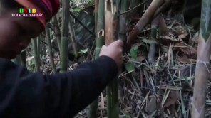 Lên rừng bắt con tô pát (phần 3)