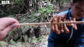 Đi bắt sâu cây nướng ăn trong rừng (phần 4)