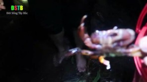 Nửa đêm vào rừng bắt cua đá (phần 2)