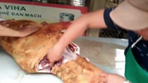 Người Thái Tây Bắc mổ bò mừng nhà mới (phần 2)