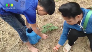Lên Tây Bắc bắt dế mèn (phần 1)
