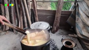 Bí quyết làm măng khô từ măng tre rừng (phần 1)