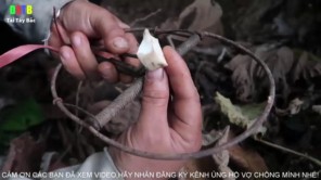 Đi bãy chuột rừng (phần 2)