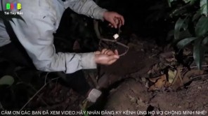 Đi bẫy chuột rừng (phần 4)