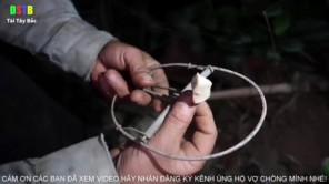 Đi bẫy chuột rừng (phần 5)