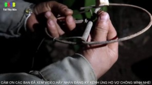 Đi bẫy chuột rừng (phần 6)